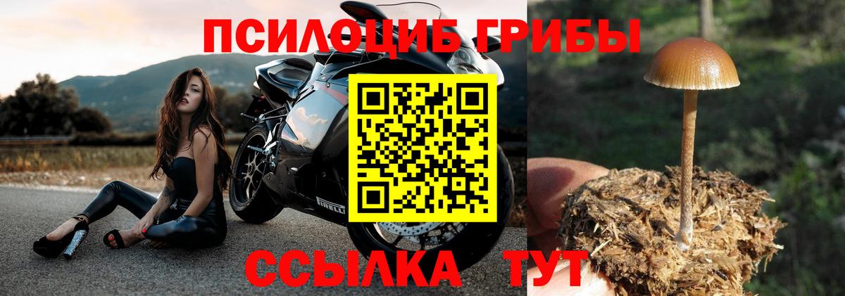 Галлюциногенные грибы ЛСД Красноармейск